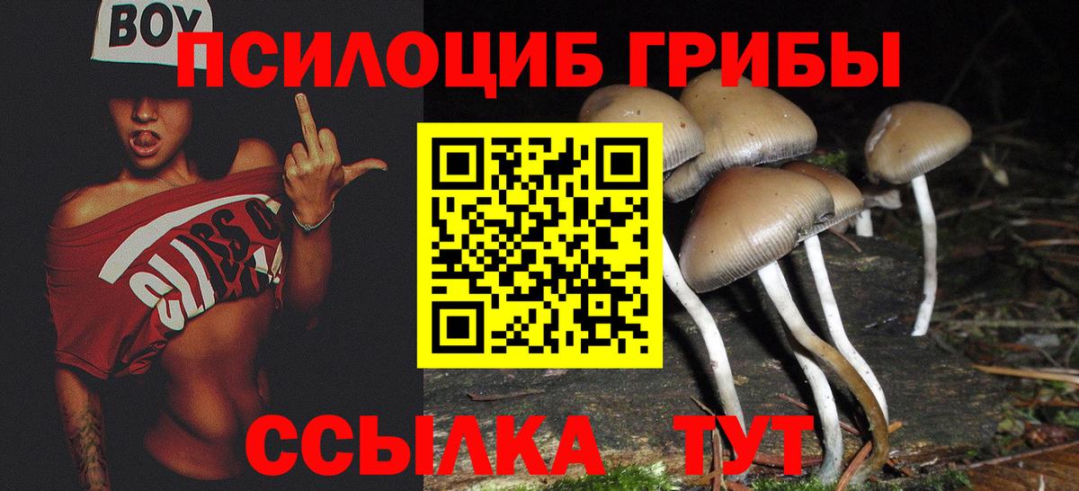 Ялуторовск  Галлюциногенные грибы Psilocybine cubensis  Галлюциногенные грибы MAGIC MUSHROOMS  Вход с VPN 
